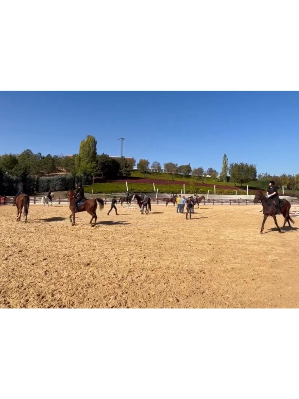 14 Ekim 2023 tarihinde kulübümüzde gerçekleşen binicilik lisans sınavını sporcularımız başarıyla geçtiler.